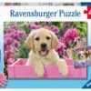 Ravensburger Freunde Mit Fell, 4er Set Puzzle, 2 X 20 / 2 X 24 Teile -Spielzeug Rabatte Geschäft 13015627 01
