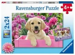 Ravensburger Freunde Mit Fell, 4er Set Puzzle, 2 X 20 / 2 X 24 Teile