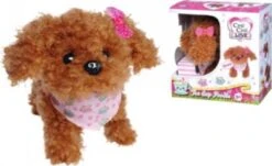 Chi Chi Love Tea Cup Poodle Puppy