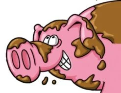 Kosmos Kartenspiel Drecksau -Spielzeug Rabatte Geschäft 2417152 03