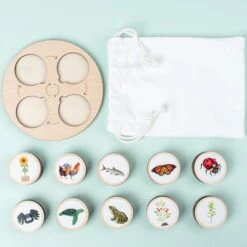 Debuy Bildungsbausteine Für Kinder Kognitives Spielzeug Für Den Lebenszyklus Des Pflanzenwachstums -Spielzeug Rabatte Geschäft 29725057 04