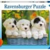 Ravensburger Puzzle, 200 Teile XXL, 49x36 Cm, Kuschelige Welpen